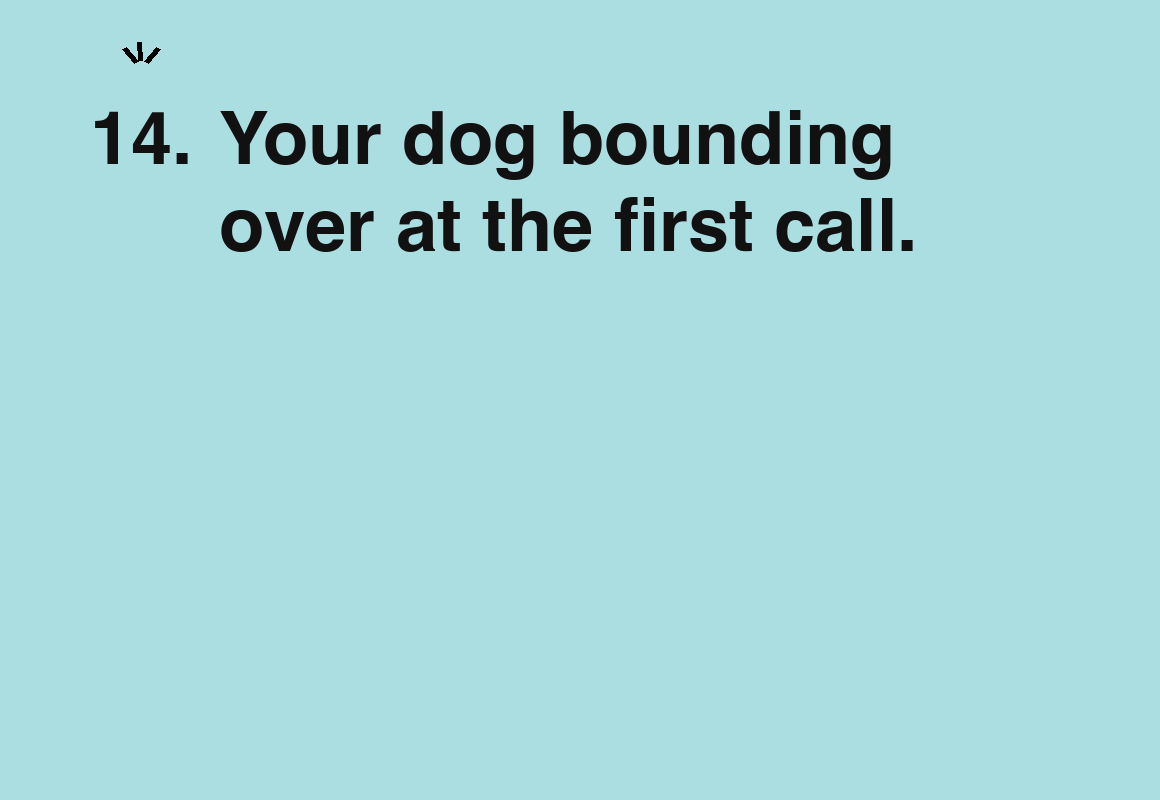 Your dog bounding over at the first call. — card 14 of the 1000 little things list