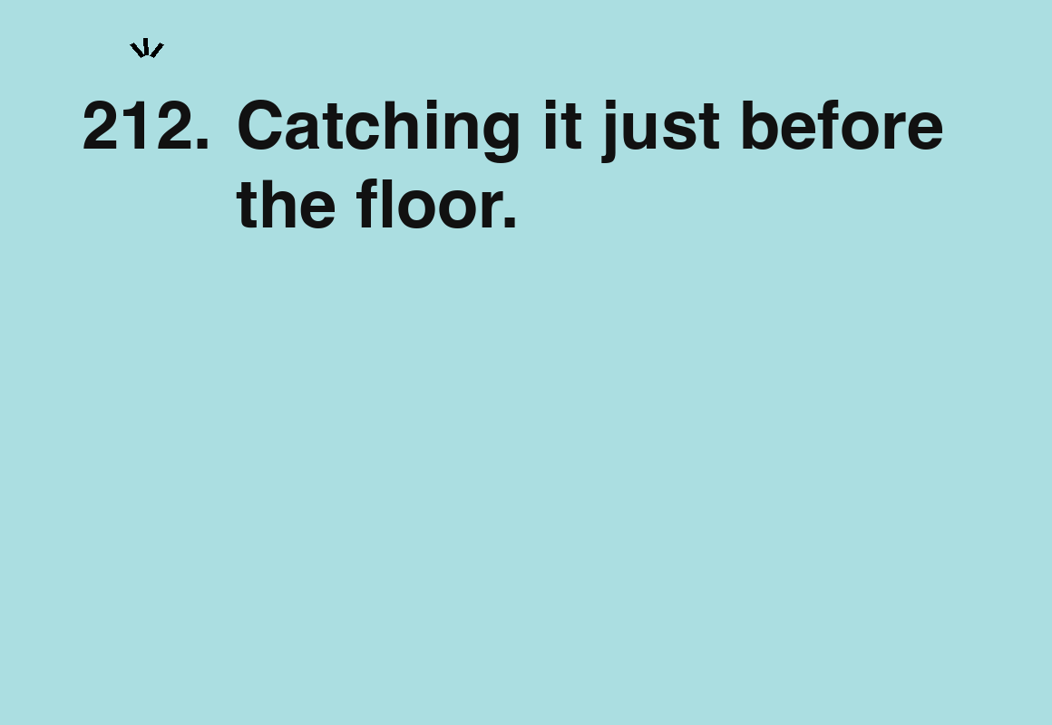Catching it just before the floor. — card 212 of the 1000 little things list