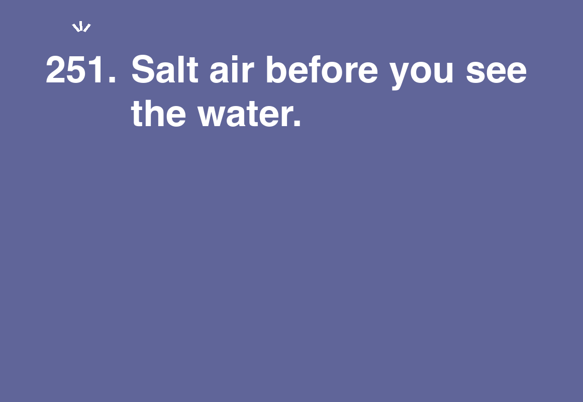Salt air before you see the water. — card 251 of the 1000 little things list