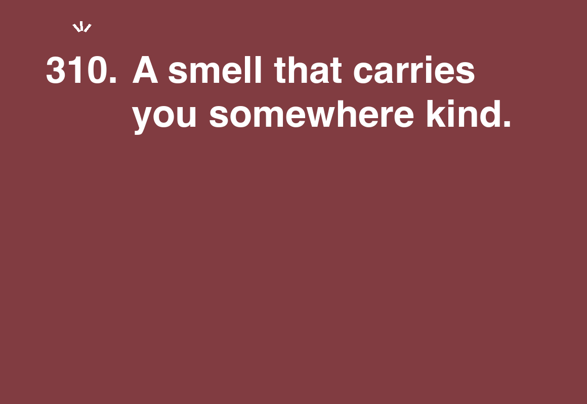 A smell that carries you somewhere kind. — card 310 of the 1000 little things list