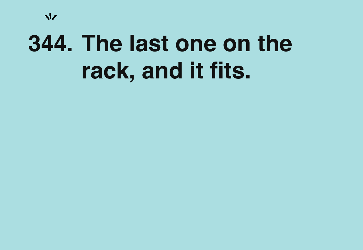 The last one on the rack, and it fits. — card 344 of the 1000 little things list