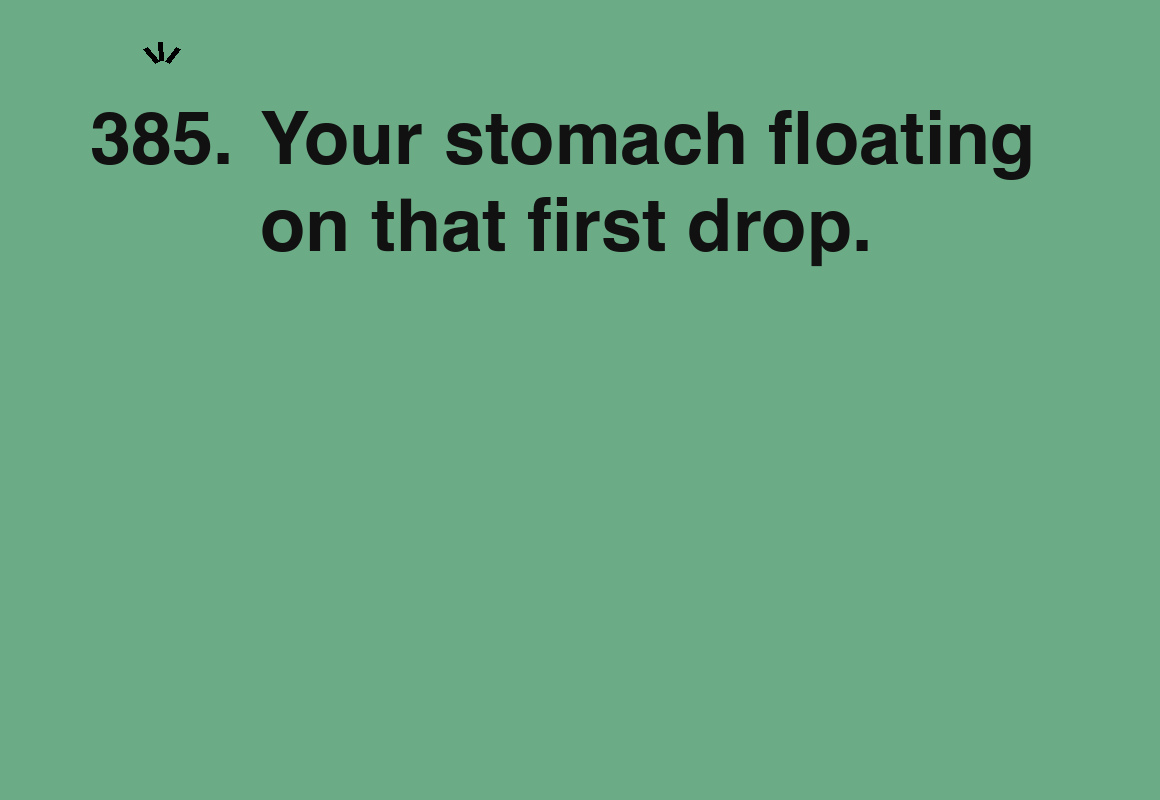 Your stomach floating on that first drop. — card 385 of the 1000 little things list
