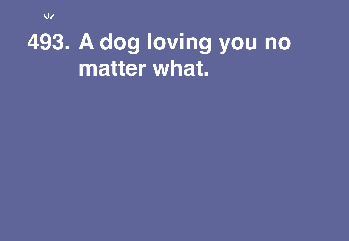 A dog loving you no matter what. — card 493 of the 1000 little things list