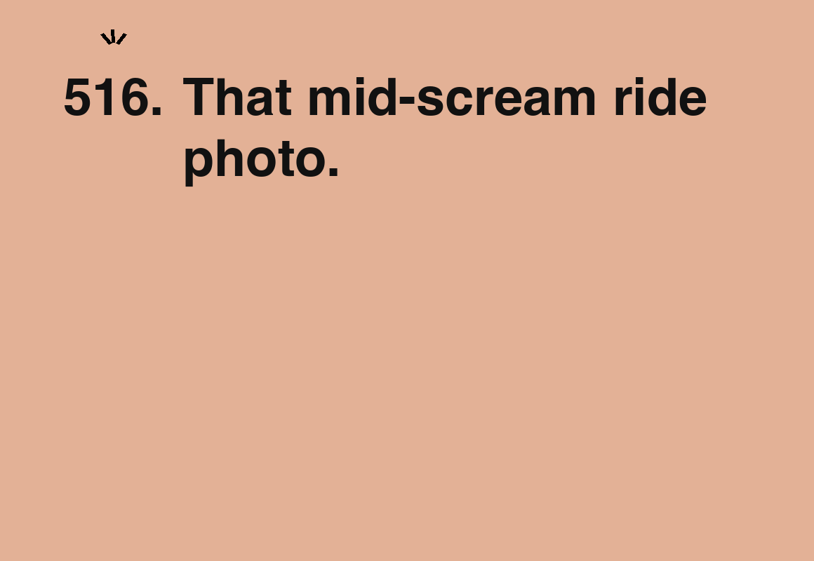 That mid-scream ride photo. — card 516 of the 1000 little things list
