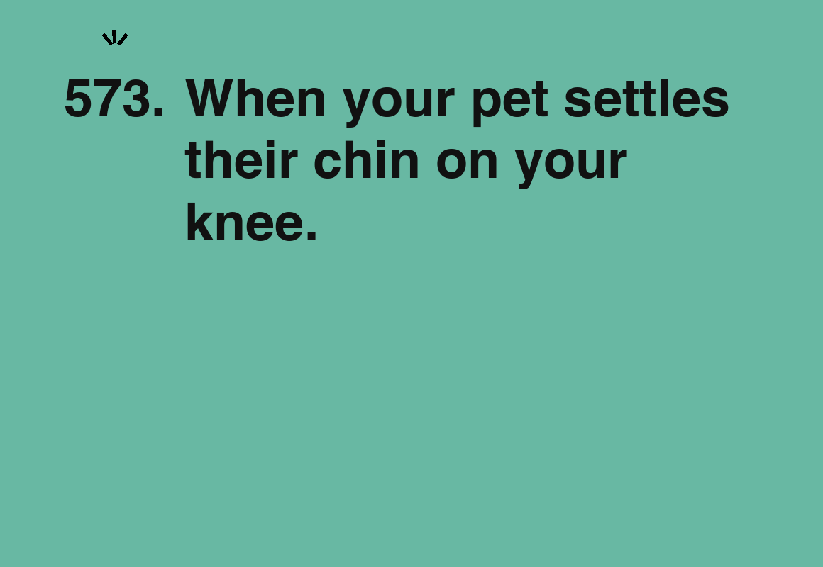 When your pet settles their chin on your knee. — card 573 of the 1000 little things list