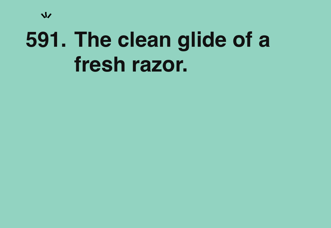 The clean glide of a fresh razor. — card 591 of the 1000 little things list