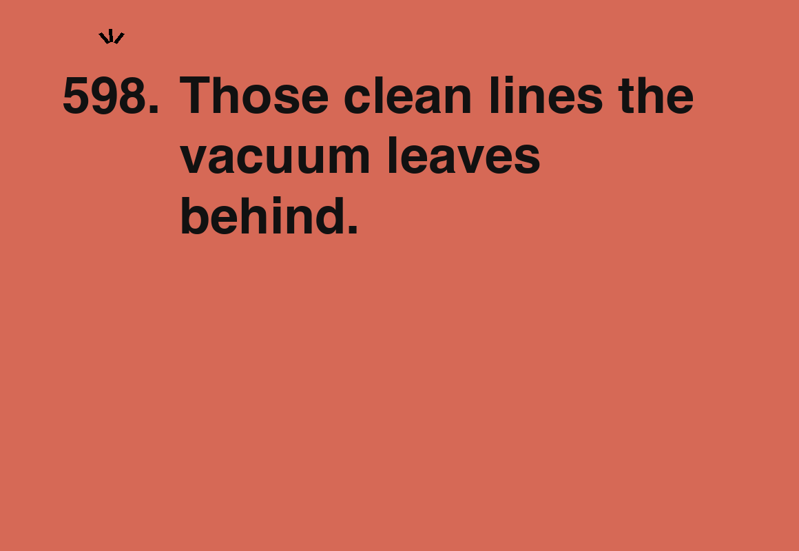 Those clean lines the vacuum leaves behind. — card 598 of the 1000 little things list