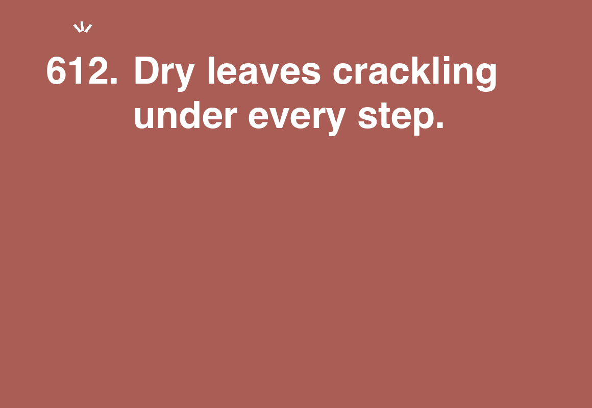 Dry leaves crackling under every step. — card 612 of the 1000 little things list