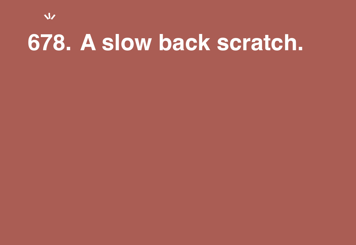 A slow back scratch. — card 678 of the 1000 little things list