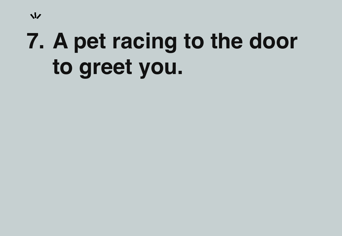 A pet racing to the door to greet you. — card 7 of the 1000 little things list