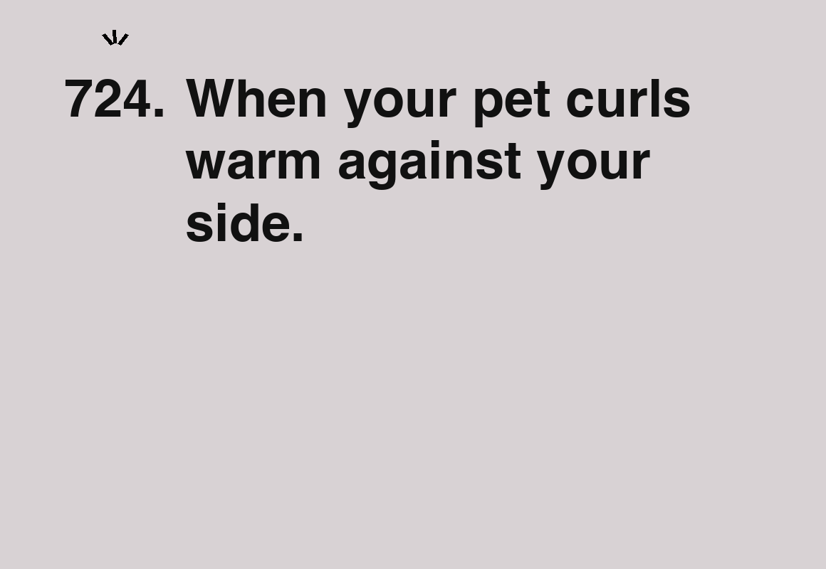 When your pet curls warm against your side. — card 724 of the 1000 little things list