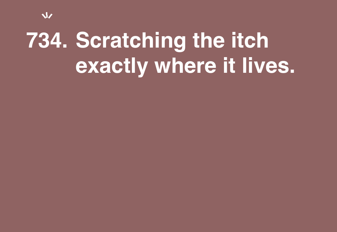 Scratching the itch exactly where it lives. — card 734 of the 1000 little things list