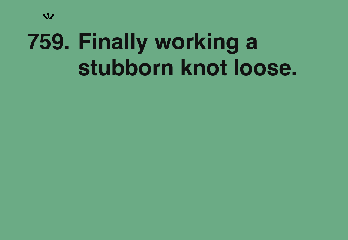 Finally working a stubborn knot loose. — card 759 of the 1000 little things list