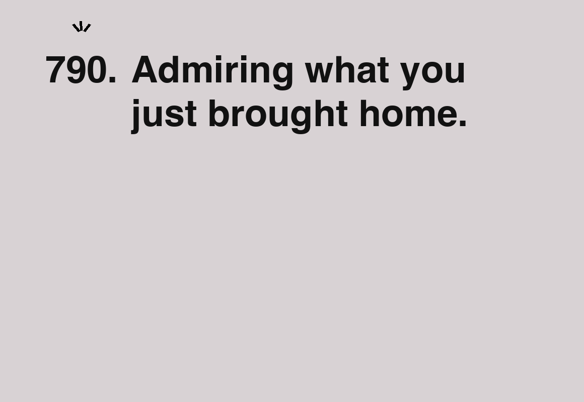 Admiring what you just brought home. — card 790 of the 1000 little things list