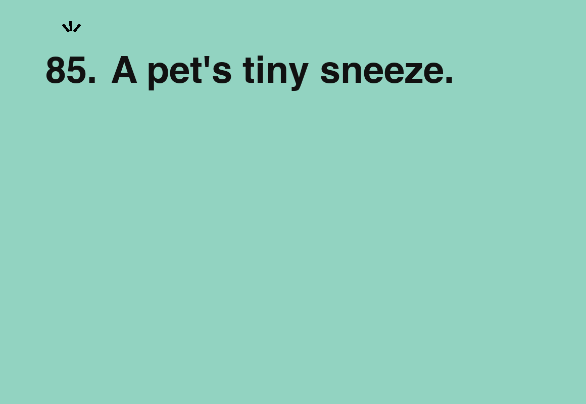 A pet's tiny sneeze. — card 85 of the 1000 little things list