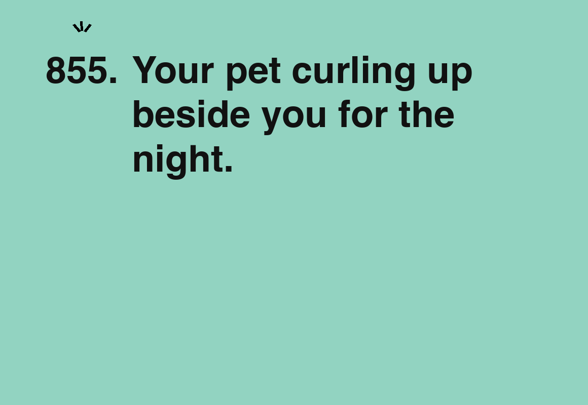 Your pet curling up beside you for the night. — card 855 of the 1000 little things list