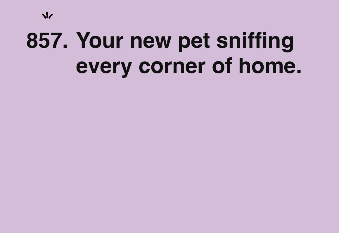 Your new pet sniffing every corner of home. — card 857 of the 1000 little things list
