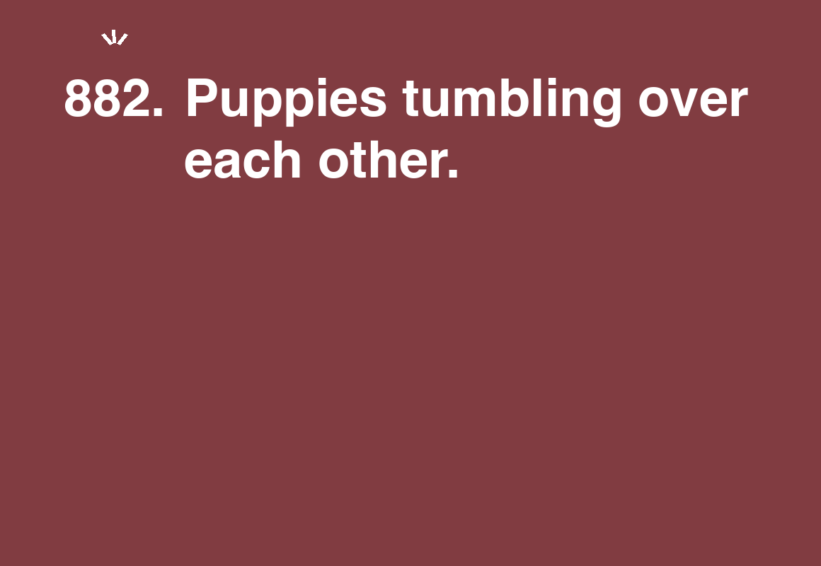 Puppies tumbling over each other. — card 882 of the 1000 little things list