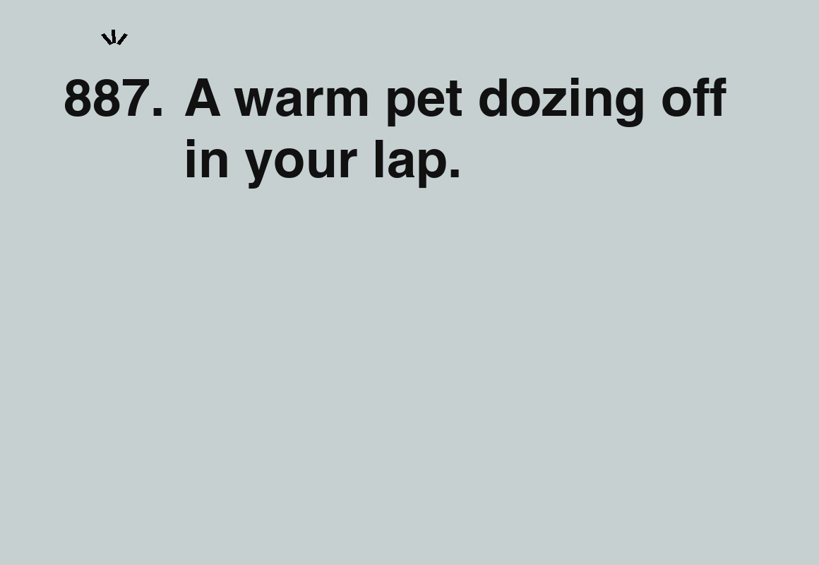 A warm pet dozing off in your lap. — card 887 of the 1000 little things list