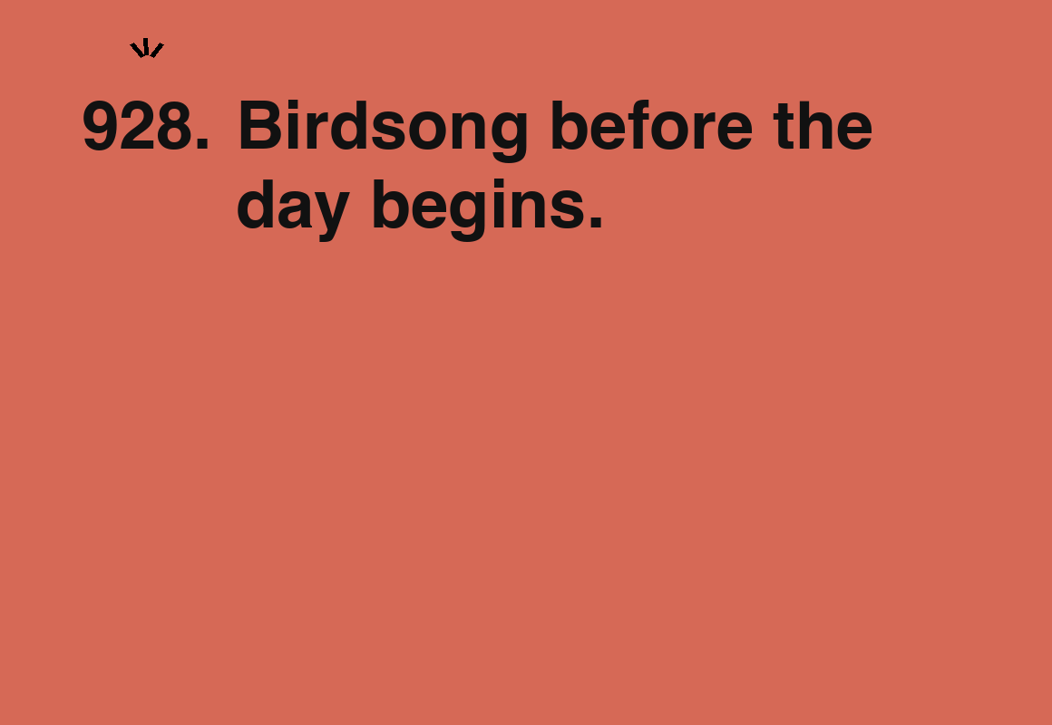 Birdsong before the day begins. — card 928 of the 1000 little things list